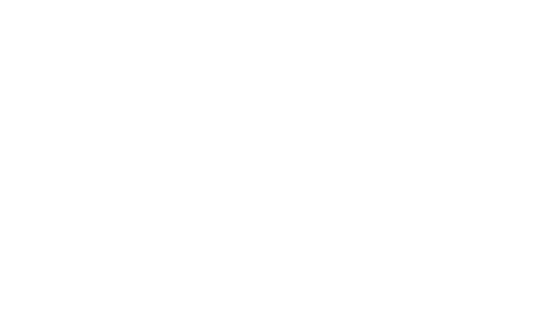 BuzzHouse
